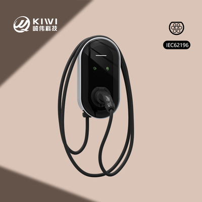 RS485 Comunicazione punto a punto Caricabatterie per auto elettriche con una forte compatibilità