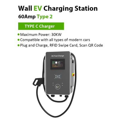 30 kW/40 kW caricabatterie per veicoli elettrici per parcheggi di parchi di divertimenti Comunicazione RS485